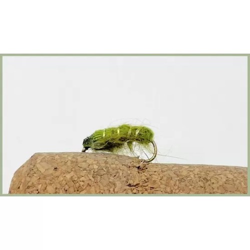 Olive semtex bugs trout - semtex, bugs,