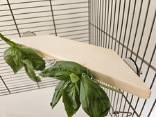 Corner Ledge & Hooks (30cm) -