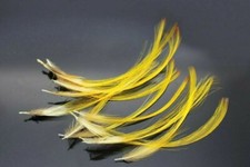 PACK OF 15 X GOLDEN PHEASANT