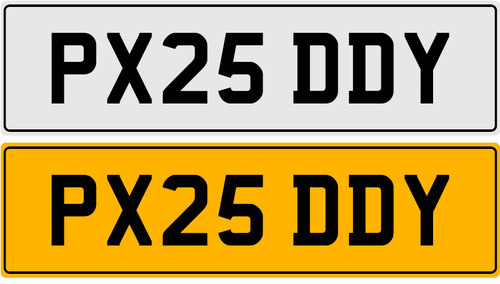 Px25 ddy paddy patrick - paddy,