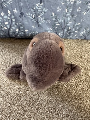 Norris the elephant seal soft - norris,