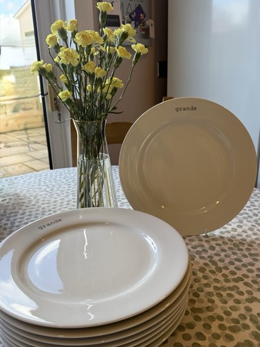 Charger porcelain white plates - white,