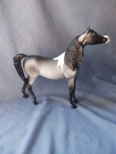 Breyer custom arabian marciea - breyer,