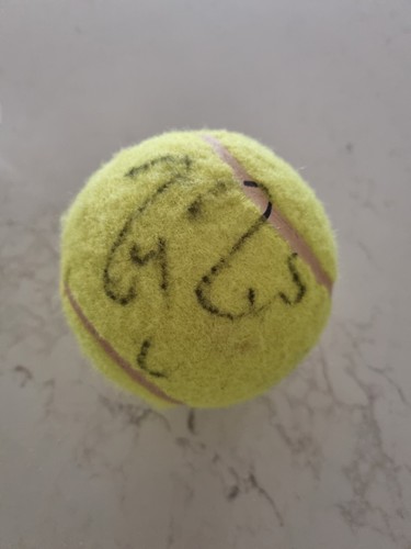 Roger federer signed large - federer,