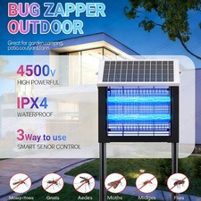 Powerful Large Solar Bug