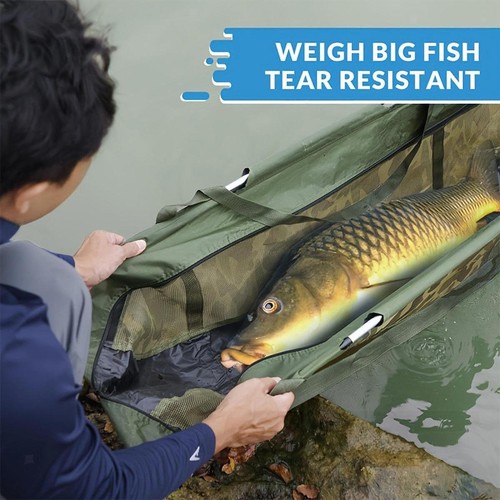 Boat shaped fishes weigh - boat, bag