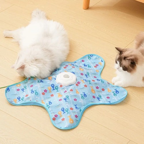 Interactive cat toy motion - interactive,
