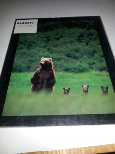 Classic art print ref - ref, bear