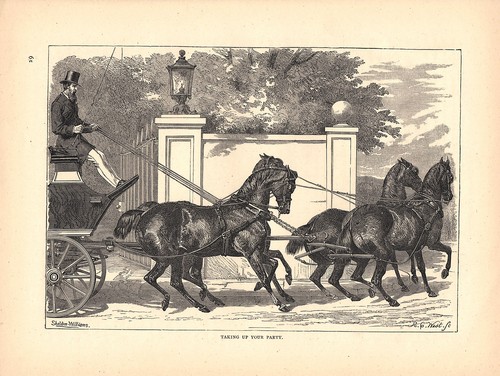 Victorian horsedrawn driving - horsedrawn,