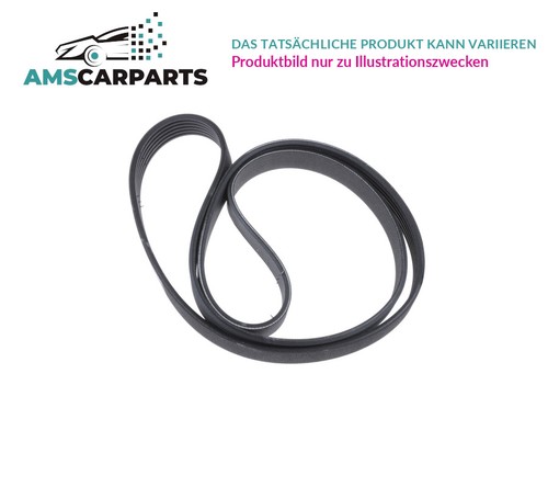 Belt ribbed 987 947 - v-ribbed,