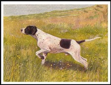 POINTER DOG AT WORK  VINTAGE
