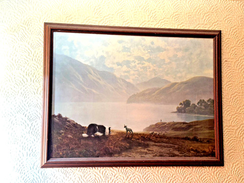 Sheep dog lamb landscape - sheep,