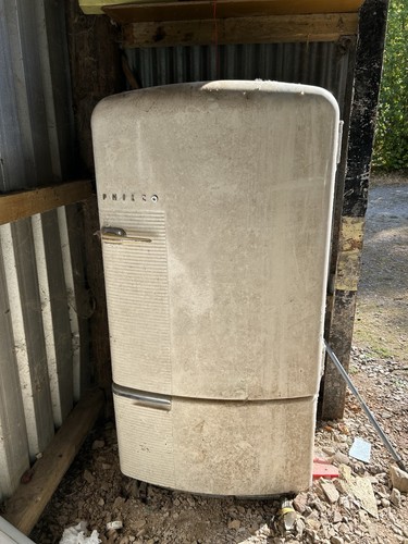Display fridge - display,
