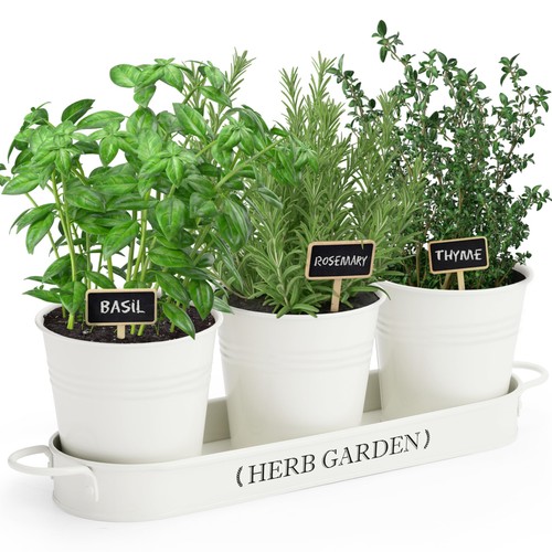 Perfnique indoor herb garden - perfnique,