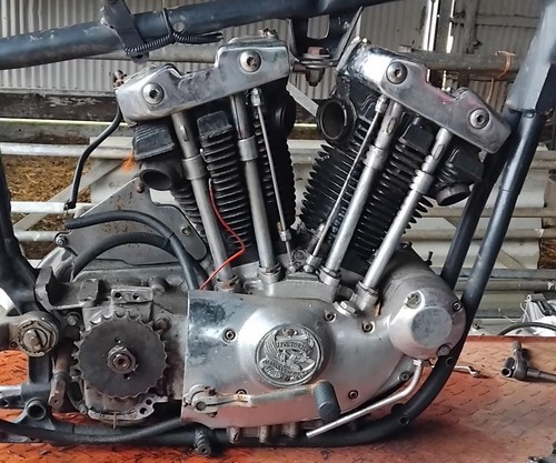 Harley davidson ironhead - harley,