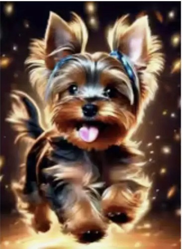 Running yorkie dog puppy - dog,