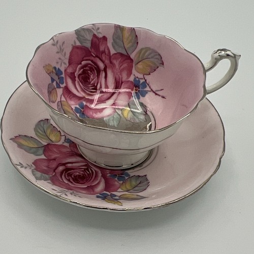 Paragon cabbage rose - teacup, &