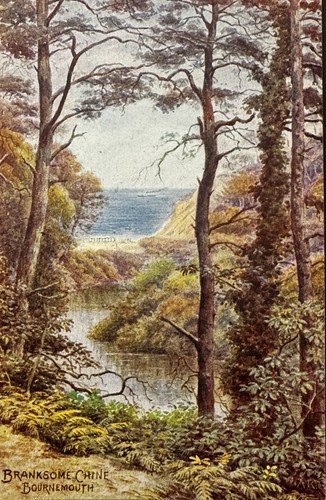 Bournemouth poole branksome - bournemouth,