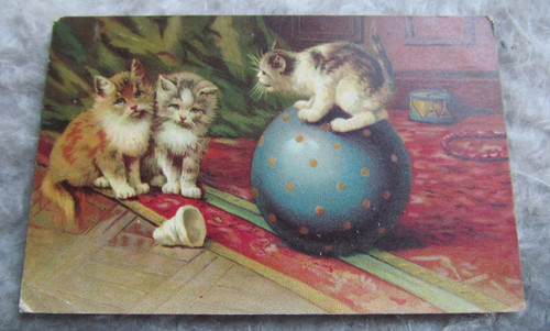 Antique postcard kittens - antique,