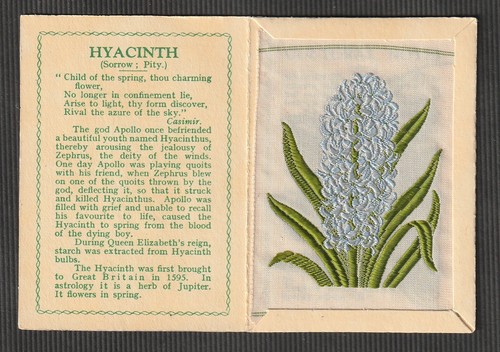 Kensitas wix silk flower - wix, &