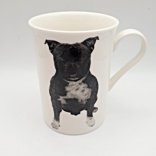Staffordshire bull terrier - staffordshire,