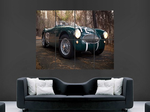 Austin healey 1955 - 1955, 100