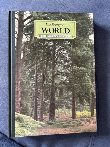 The evergreen world - evergreen,