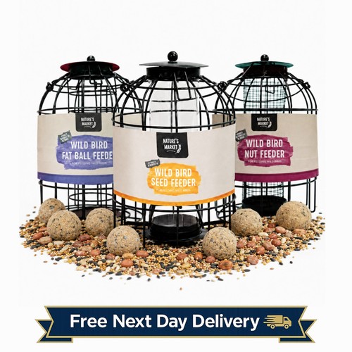 Squirrel proof bird feeders - squirrel,