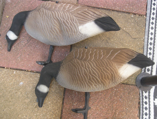 Goose hunting foldable - goose,