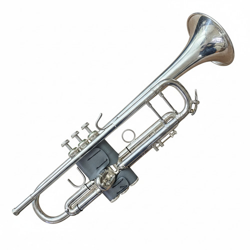 Silver vincent bach - silver,