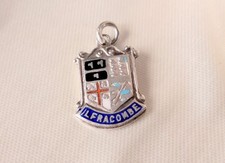 Vintage Silver Travel Shield