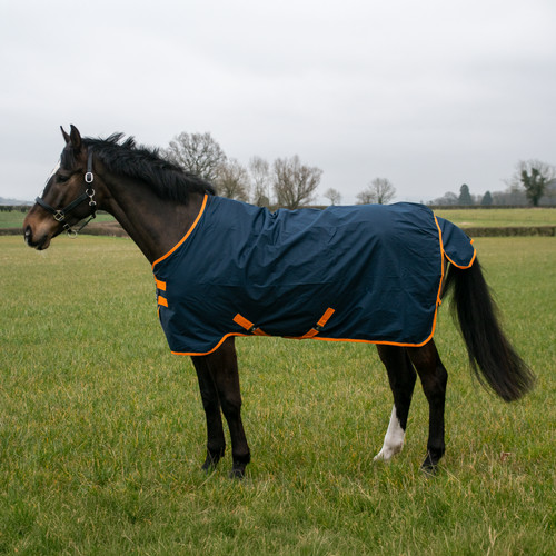 Equestrian 600d waterproof - equestrian,