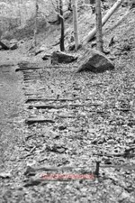 PHOTO  RUSPIDGE OLD RAILWAY