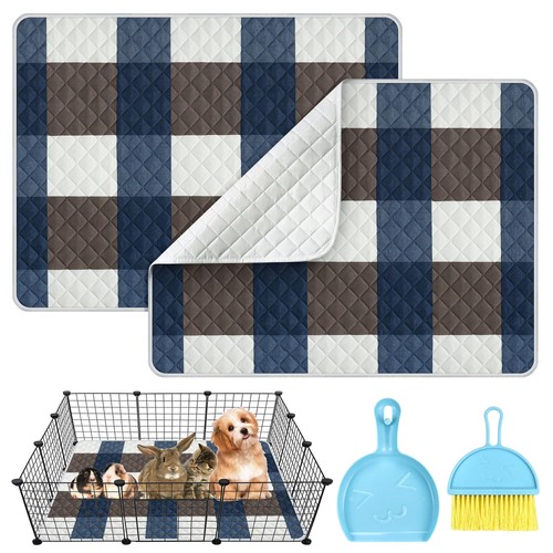 Pack large guinea - pig, cage