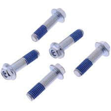 Brake disc screw kit fits Aprilia SR50 Leonardo Pegaso Moto Guzzi Derbi