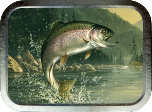 Rainbow trout 2oz silver - rainbow,
