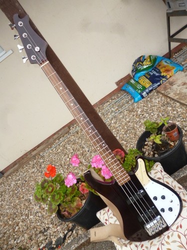 Thunderbacker jazz bass - hg,