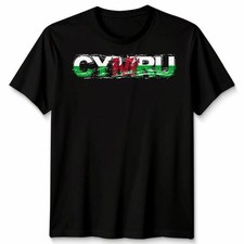 Wales Welsh Cymru Flag St