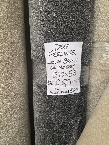 Deep feelings carpet remnant - carpet,