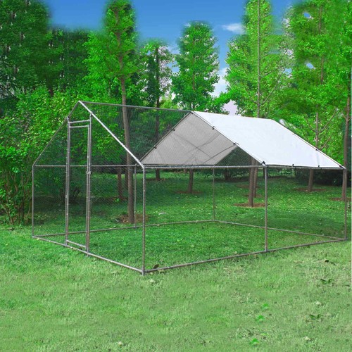 Chicken run cage walk - run,