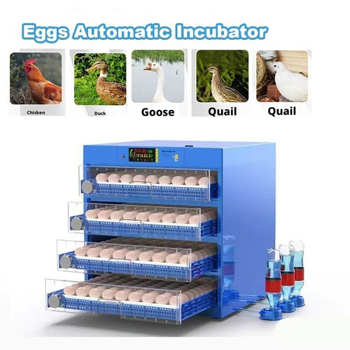 New digital auto 500pcs - new,