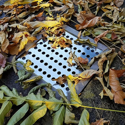 Drain guard cover stainless - guard,