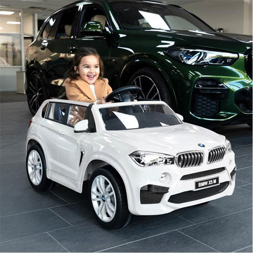 Bmw 12v electric - x5, m