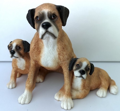 Gorgeous vintage boxer dog - gorgeous,