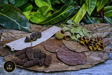 Nano Botanical Box Blackwater