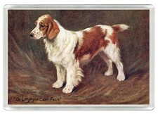 WELSH SPRINGER SPANIEL DOG