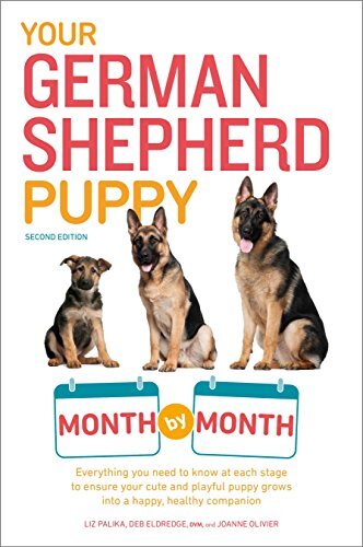 Your german shepherd puppy - your,