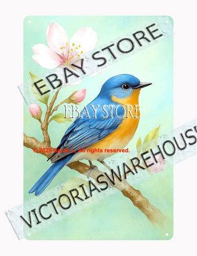 Bluebird tin sign - bluebird,