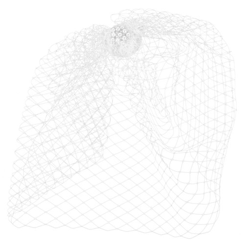 Birdcage veil wedding bride - birdcage,