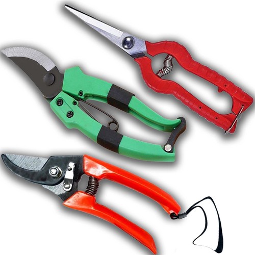 Gardening bypass pruning - gardening,